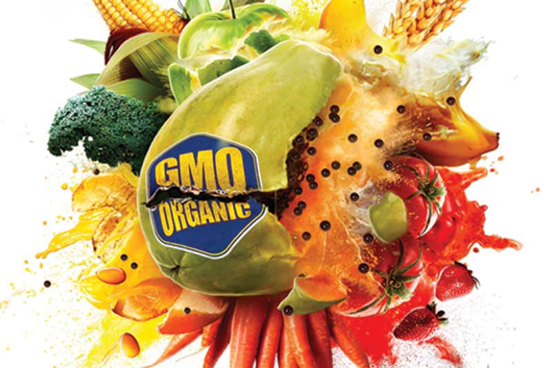 Exploding fruit with a GMO sticker
