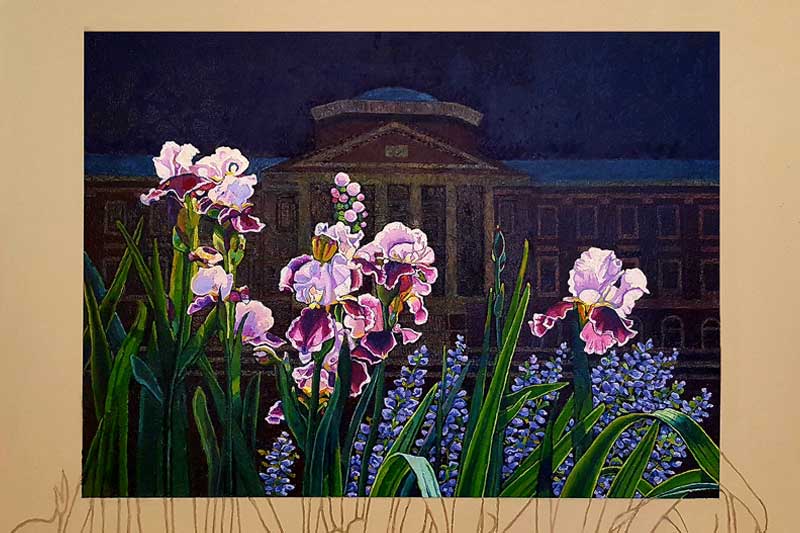 Painting of the Meredith Hues irises in front of Johnson Hall