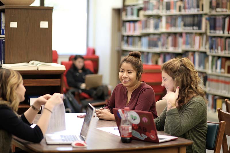 students studying in library