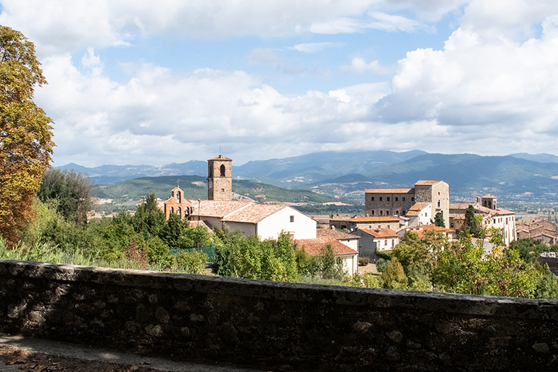 View of rooftops in Tuscany