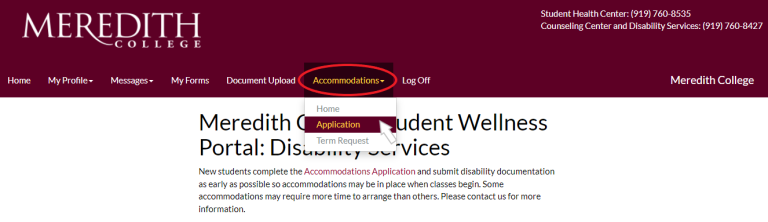 DS Accomodation Application Screenshot