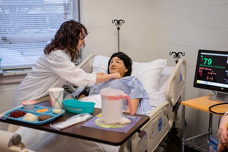 A student works in the nutrition simulation lab.